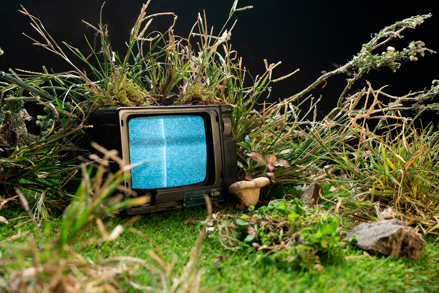 Vintage CRT television displaying static, nestled in grass and weeds like a still life